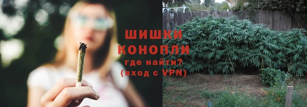 ГАЛЛЮЦИНОГЕННЫЕ ГРИБЫ Каменск-Шахтинский
