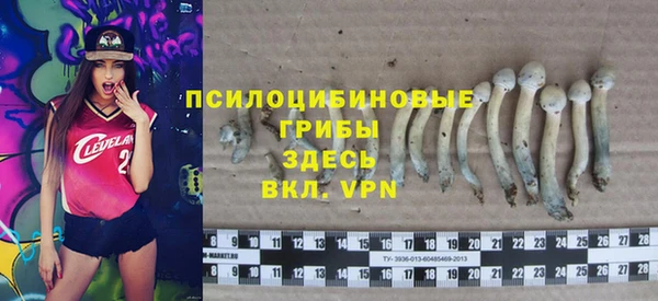 mix Каменногорск