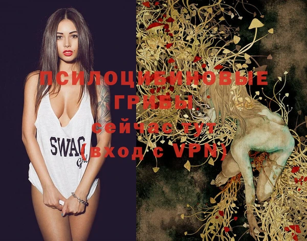 mix Каменка