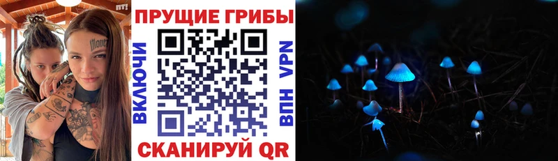 Купить где  Тетюши  Псилоцибиновые грибы Psilocybine cubensis 